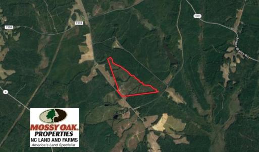 Photo of UNDER CONTRACT!  104.8 Acres of Hunting Land For Sale in Halifax County NC!