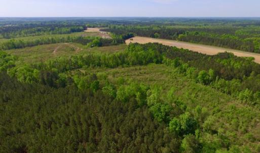 Photo of UNDER CONTRACT!  104.8 Acres of Hunting Land For Sale in Halifax County NC!