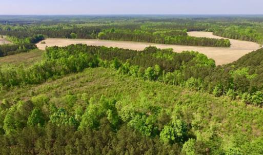 Photo of UNDER CONTRACT!  104.8 Acres of Hunting Land For Sale in Halifax County NC!
