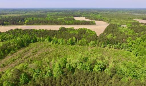 Photo of UNDER CONTRACT!  104.8 Acres of Hunting Land For Sale in Halifax County NC!