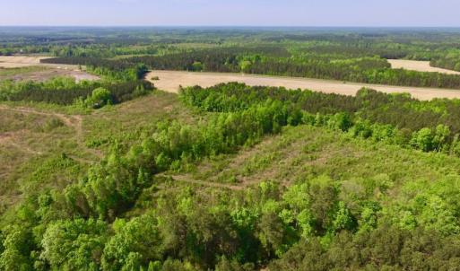 Photo of UNDER CONTRACT!  104.8 Acres of Hunting Land For Sale in Halifax County NC!