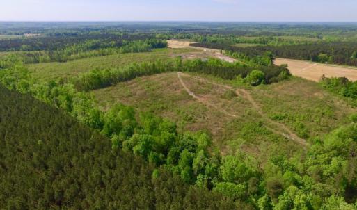 Photo of UNDER CONTRACT!  104.8 Acres of Hunting Land For Sale in Halifax County NC!