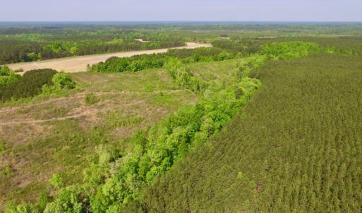Photo of UNDER CONTRACT!  104.8 Acres of Hunting Land For Sale in Halifax County NC!