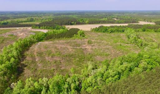 Photo of UNDER CONTRACT!  104.8 Acres of Hunting Land For Sale in Halifax County NC!