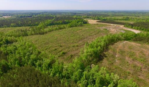 Photo of UNDER CONTRACT!  104.8 Acres of Hunting Land For Sale in Halifax County NC!