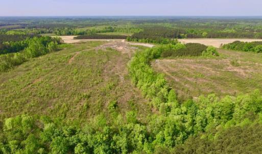 Photo of UNDER CONTRACT!  104.8 Acres of Hunting Land For Sale in Halifax County NC!