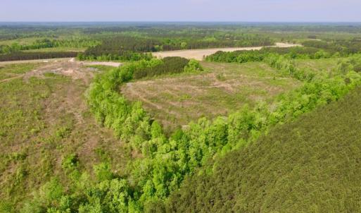 Photo of UNDER CONTRACT!  104.8 Acres of Hunting Land For Sale in Halifax County NC!