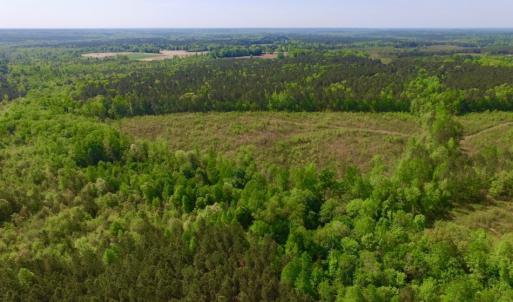 Photo of UNDER CONTRACT!  104.8 Acres of Hunting Land For Sale in Halifax County NC!