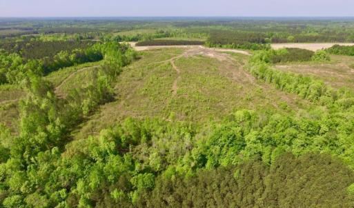 Photo of UNDER CONTRACT!  104.8 Acres of Hunting Land For Sale in Halifax County NC!