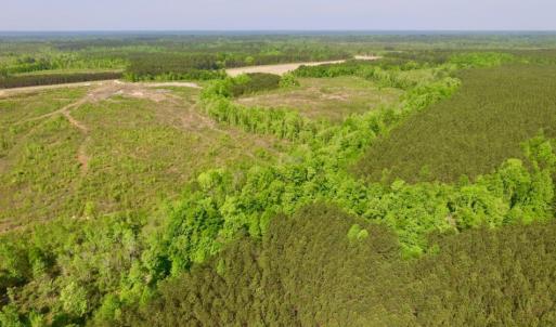 Photo of UNDER CONTRACT!  104.8 Acres of Hunting Land For Sale in Halifax County NC!
