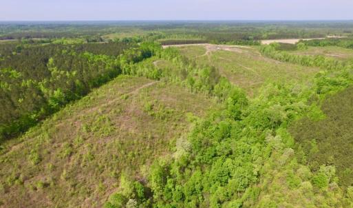 Photo of UNDER CONTRACT!  104.8 Acres of Hunting Land For Sale in Halifax County NC!