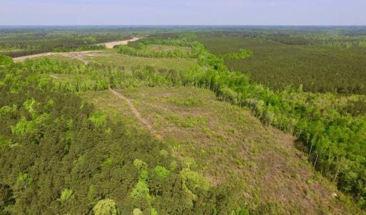 Photo of UNDER CONTRACT!  104.8 Acres of Hunting Land For Sale in Halifax County NC!
