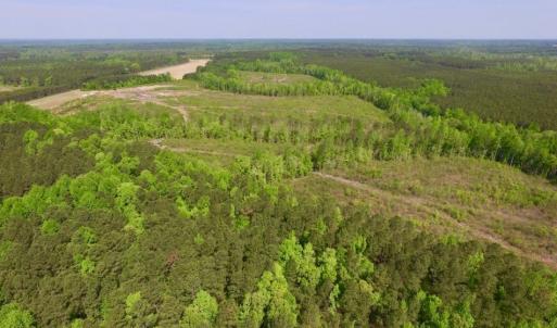 Photo of UNDER CONTRACT!  104.8 Acres of Hunting Land For Sale in Halifax County NC!