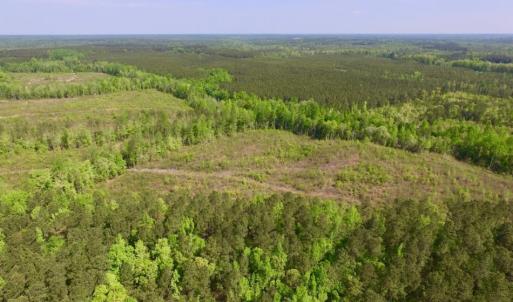 Photo of UNDER CONTRACT!  104.8 Acres of Hunting Land For Sale in Halifax County NC!