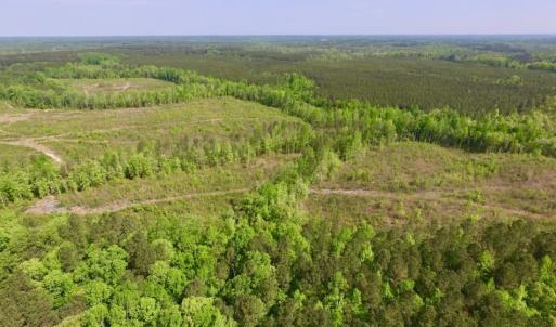Photo of UNDER CONTRACT!  104.8 Acres of Hunting Land For Sale in Halifax County NC!
