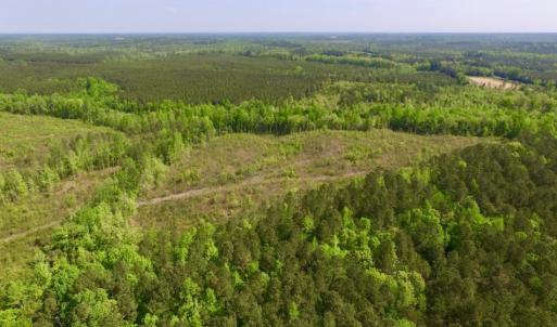 Photo of UNDER CONTRACT!  104.8 Acres of Hunting Land For Sale in Halifax County NC!
