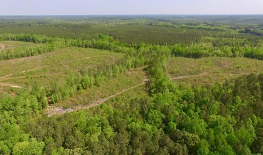 Photo of UNDER CONTRACT!  104.8 Acres of Hunting Land For Sale in Halifax County NC!
