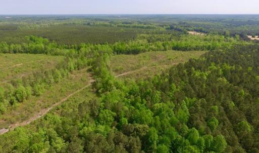 Photo of UNDER CONTRACT!  104.8 Acres of Hunting Land For Sale in Halifax County NC!