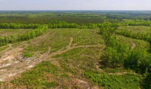 Photo of UNDER CONTRACT!  104.8 Acres of Hunting Land For Sale in Halifax County NC!