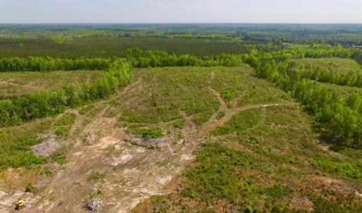 Photo of UNDER CONTRACT!  104.8 Acres of Hunting Land For Sale in Halifax County NC!