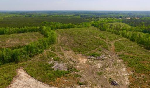 Photo of UNDER CONTRACT!  104.8 Acres of Hunting Land For Sale in Halifax County NC!