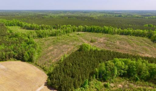 Photo of UNDER CONTRACT!  104.8 Acres of Hunting Land For Sale in Halifax County NC!
