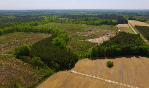 Photo of UNDER CONTRACT!  104.8 Acres of Hunting Land For Sale in Halifax County NC!