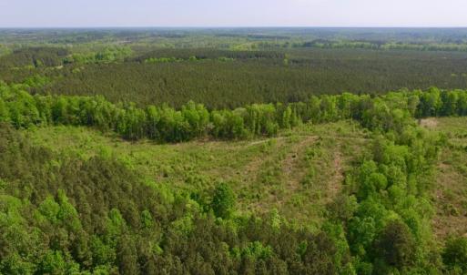 Photo of UNDER CONTRACT!  104.8 Acres of Hunting Land For Sale in Halifax County NC!