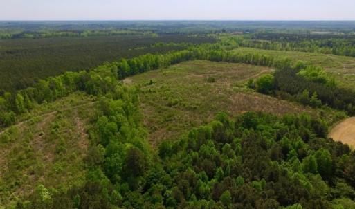 Photo of UNDER CONTRACT!  104.8 Acres of Hunting Land For Sale in Halifax County NC!