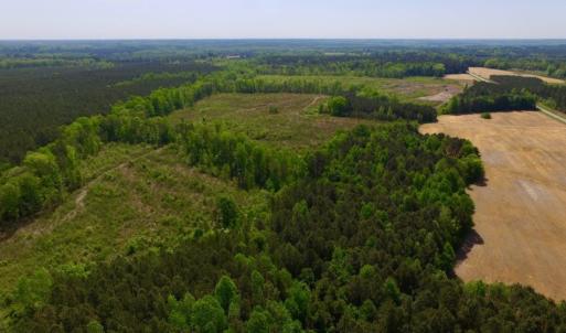 Photo of UNDER CONTRACT!  104.8 Acres of Hunting Land For Sale in Halifax County NC!