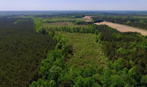 Photo of UNDER CONTRACT!  104.8 Acres of Hunting Land For Sale in Halifax County NC!