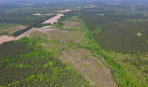 Photo of UNDER CONTRACT!  104.8 Acres of Hunting Land For Sale in Halifax County NC!