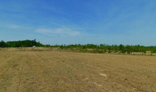 Photo of UNDER CONTRACT!  104.8 Acres of Hunting Land For Sale in Halifax County NC!