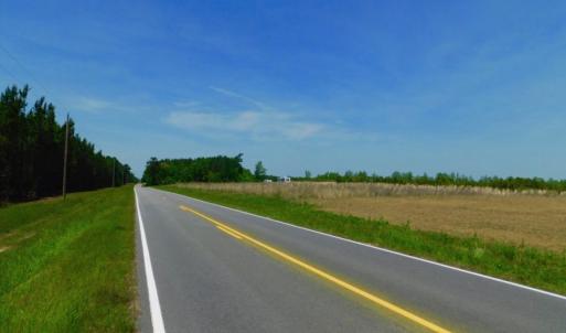 Photo of UNDER CONTRACT!  104.8 Acres of Hunting Land For Sale in Halifax County NC!