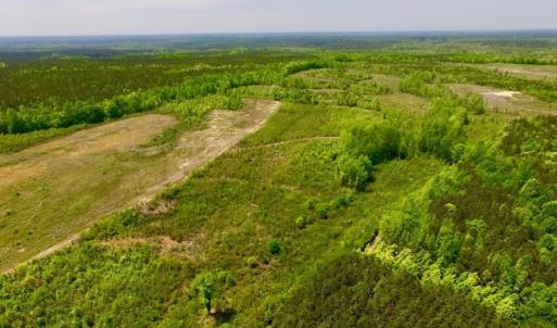Photo of UNDER CONTRACT!  50.77 Acres of Hunting Land For Sale in Halifax County NC!