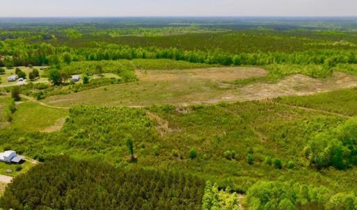 Photo of UNDER CONTRACT!  50.77 Acres of Hunting Land For Sale in Halifax County NC!