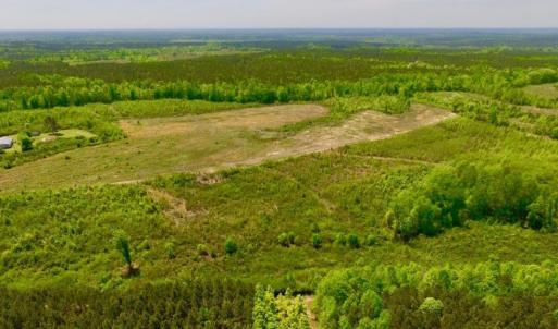 Photo of UNDER CONTRACT!  50.77 Acres of Hunting Land For Sale in Halifax County NC!