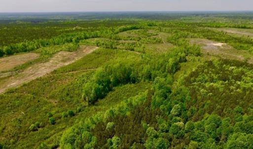 Photo of UNDER CONTRACT!  50.77 Acres of Hunting Land For Sale in Halifax County NC!