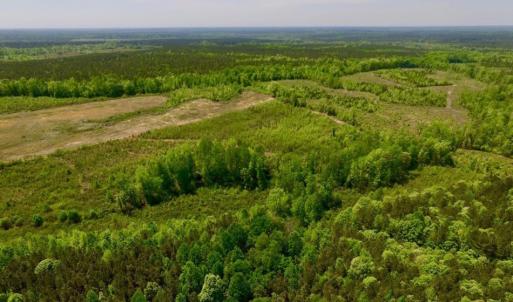 Photo of UNDER CONTRACT!  50.77 Acres of Hunting Land For Sale in Halifax County NC!