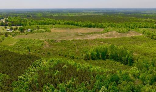 Photo of UNDER CONTRACT!  50.77 Acres of Hunting Land For Sale in Halifax County NC!
