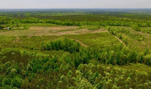 Photo of UNDER CONTRACT!  50.77 Acres of Hunting Land For Sale in Halifax County NC!