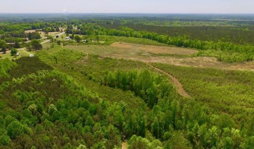 Photo of UNDER CONTRACT!  50.77 Acres of Hunting Land For Sale in Halifax County NC!