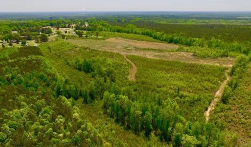 Photo of UNDER CONTRACT!  50.77 Acres of Hunting Land For Sale in Halifax County NC!