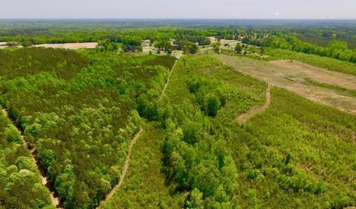Photo of UNDER CONTRACT!  50.77 Acres of Hunting Land For Sale in Halifax County NC!