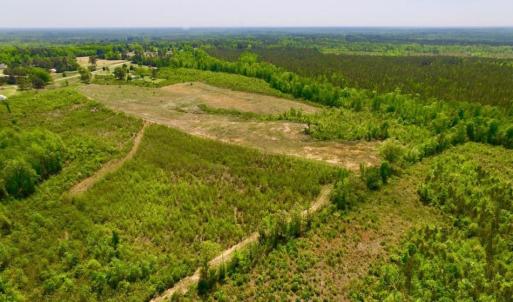 Photo of UNDER CONTRACT!  50.77 Acres of Hunting Land For Sale in Halifax County NC!