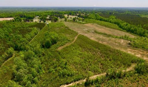Photo of UNDER CONTRACT!  50.77 Acres of Hunting Land For Sale in Halifax County NC!