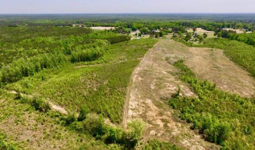 Photo of UNDER CONTRACT!  50.77 Acres of Hunting Land For Sale in Halifax County NC!