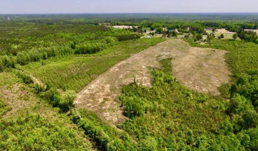Photo of UNDER CONTRACT!  50.77 Acres of Hunting Land For Sale in Halifax County NC!