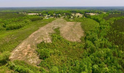 Photo of UNDER CONTRACT!  50.77 Acres of Hunting Land For Sale in Halifax County NC!