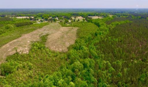 Photo of UNDER CONTRACT!  50.77 Acres of Hunting Land For Sale in Halifax County NC!